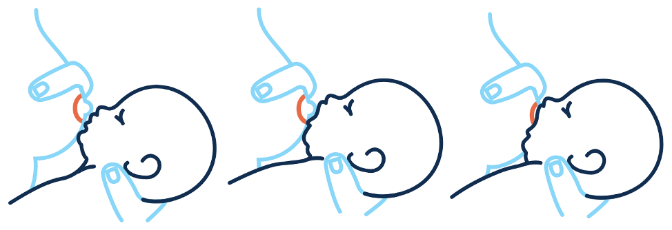 class_photo/w8-1-1.png